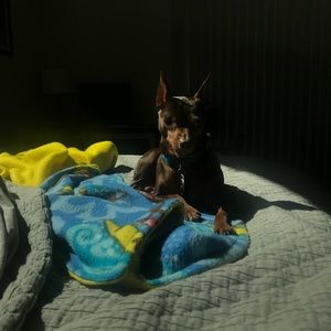 Meet your Posher, Isaac